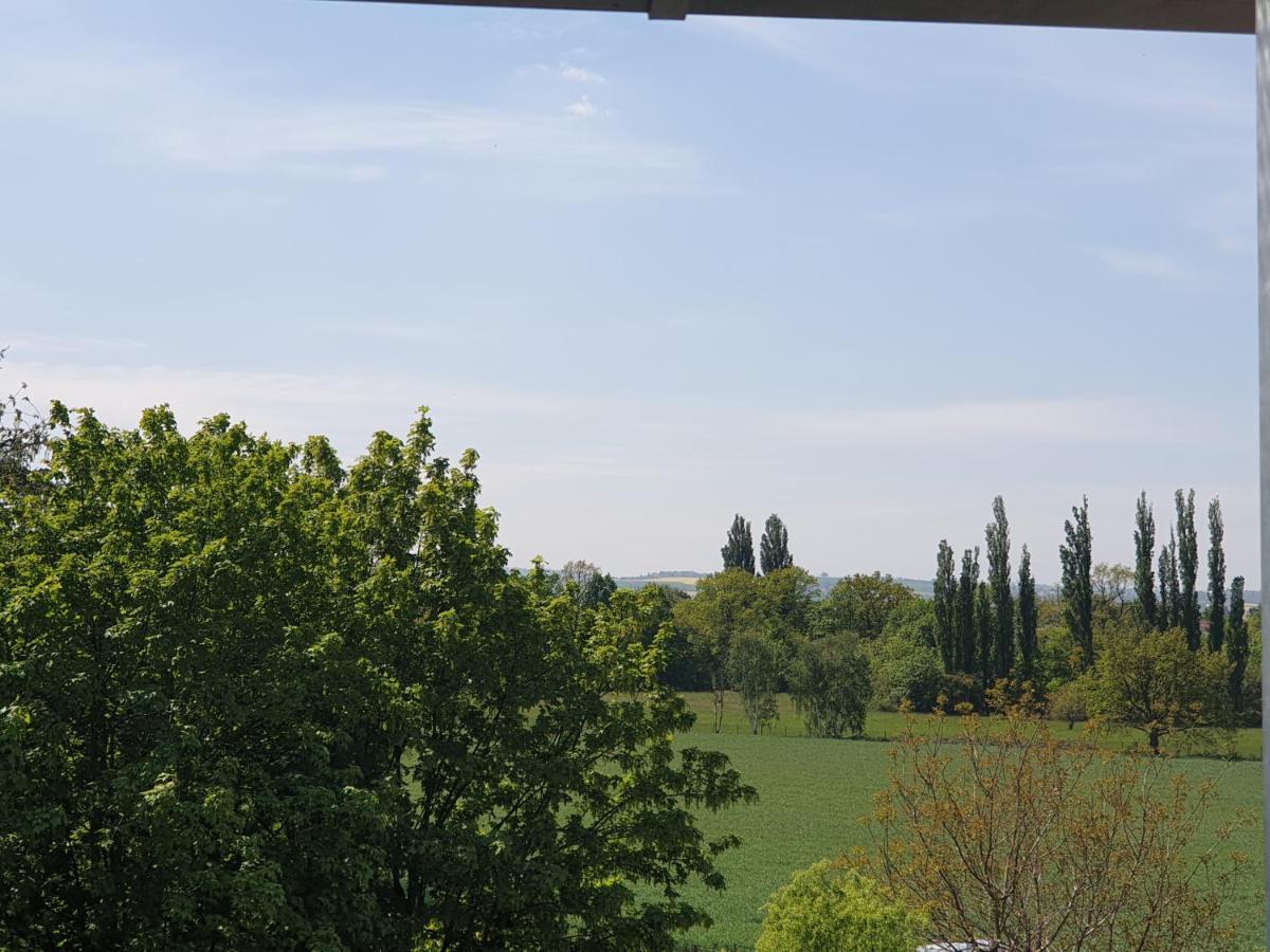 Villa Cosel Дрезден Екстериор снимка